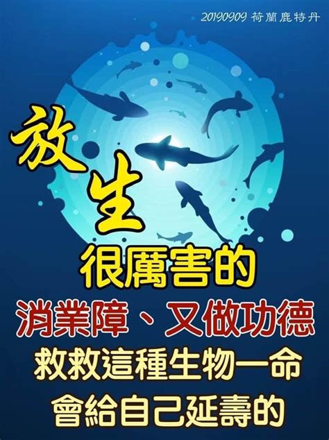 夢到放生魚